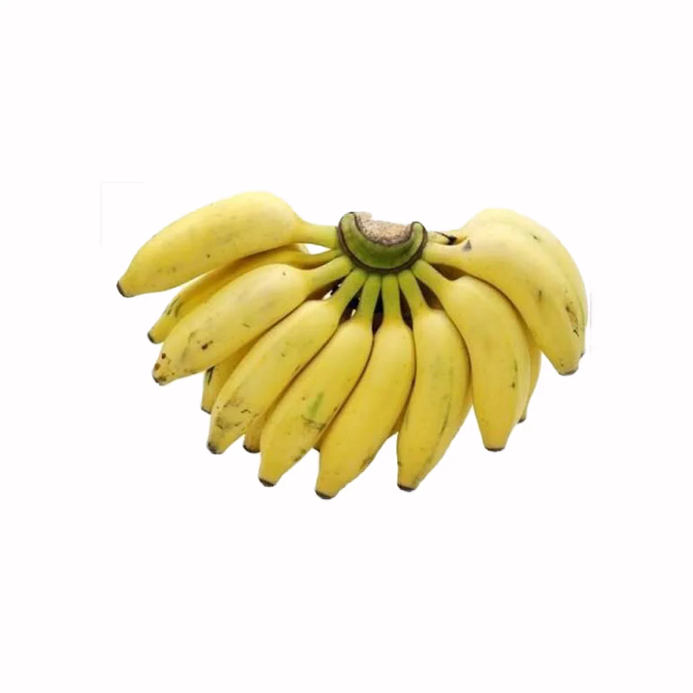 Elakki Bale (Banana)