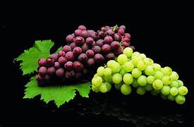 Grapes