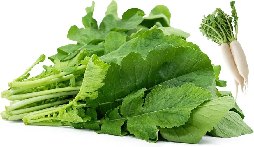 Radish Leaves (Mooli Patta)