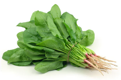Spinach (Palak)