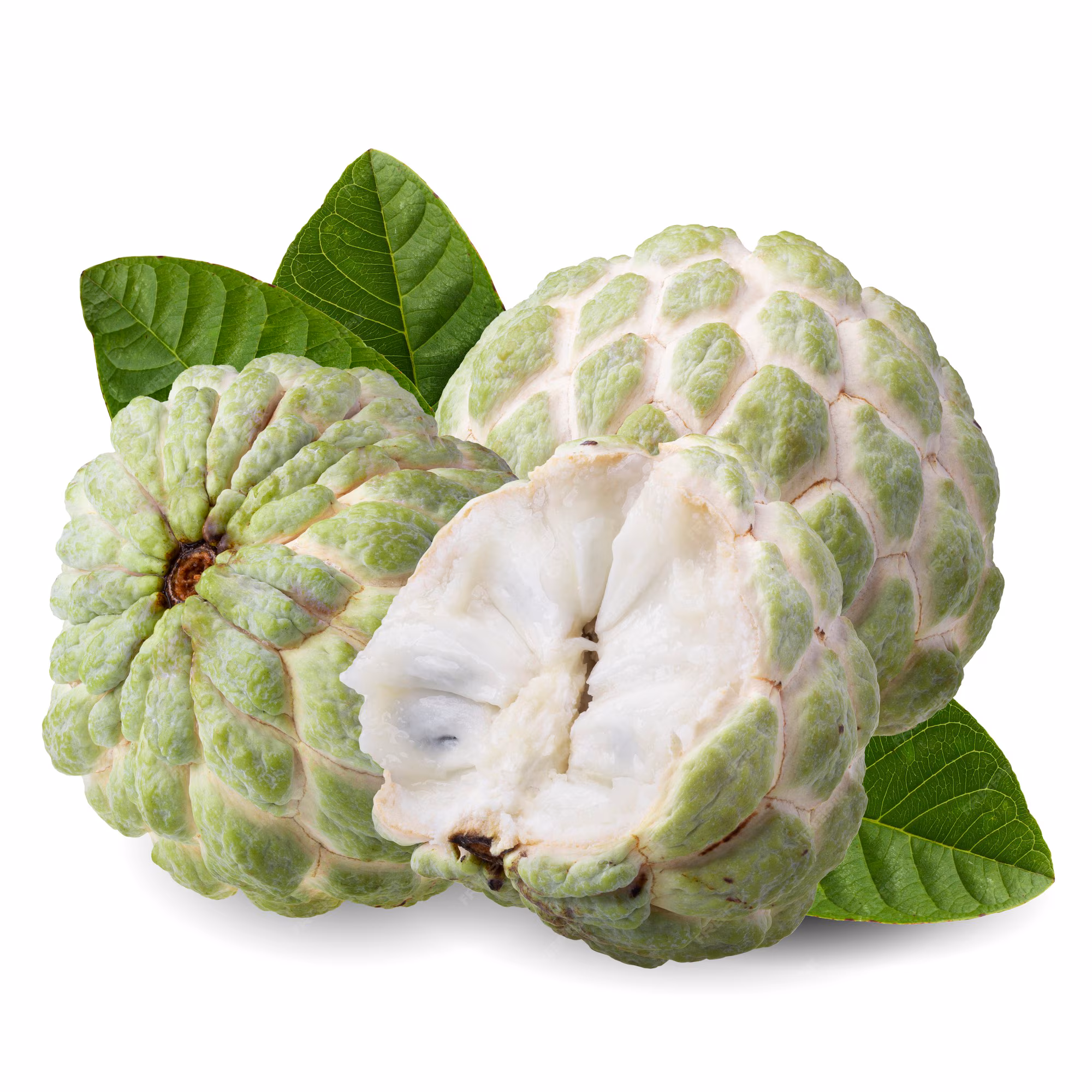 Custard Apple