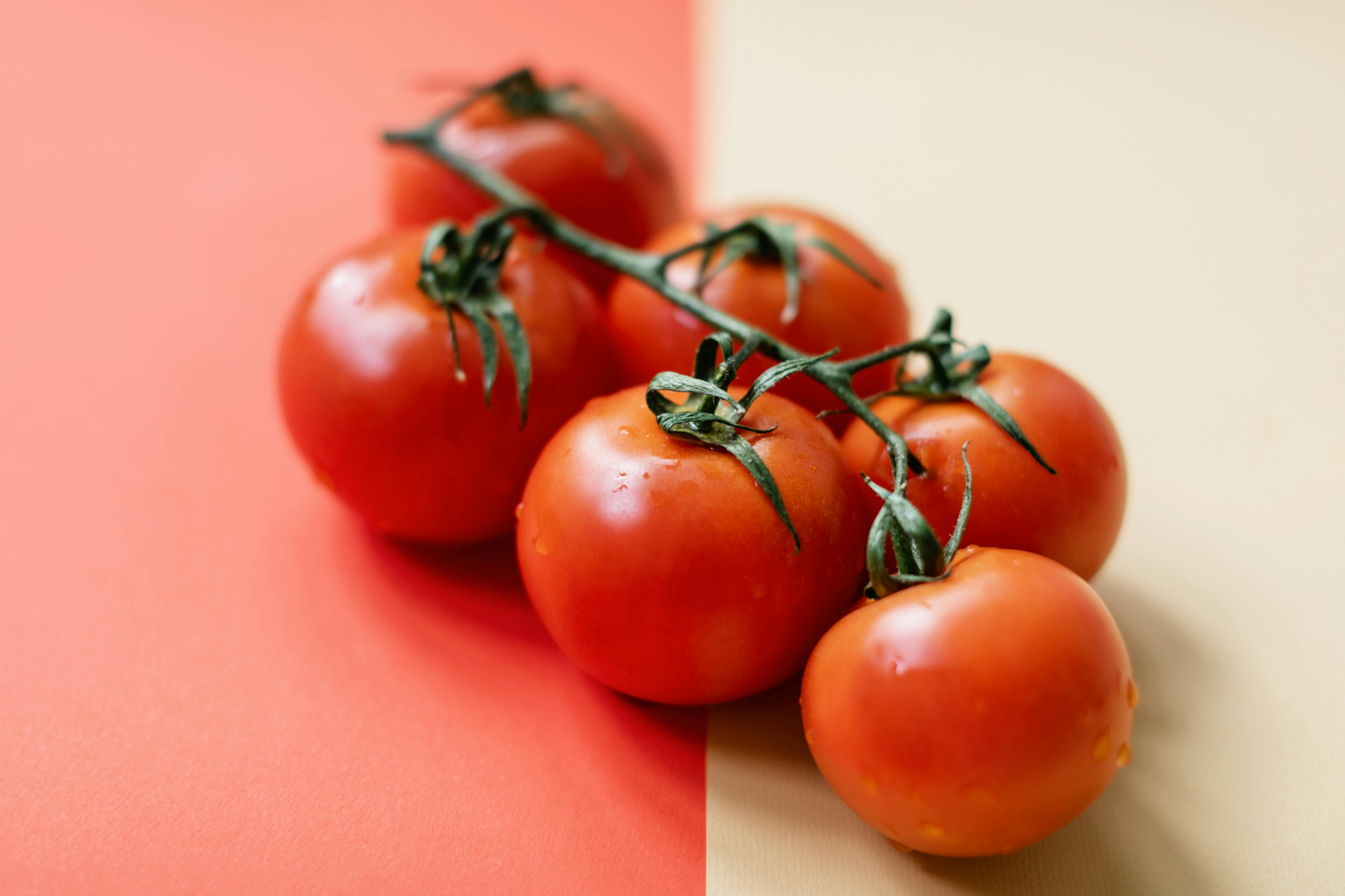 Tomatoes