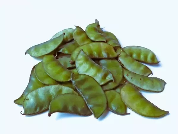 Field Beans (Avarekai)