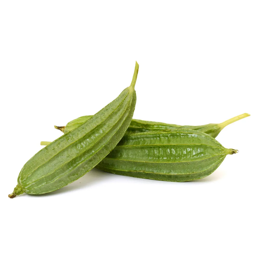 Ridge Gourd
