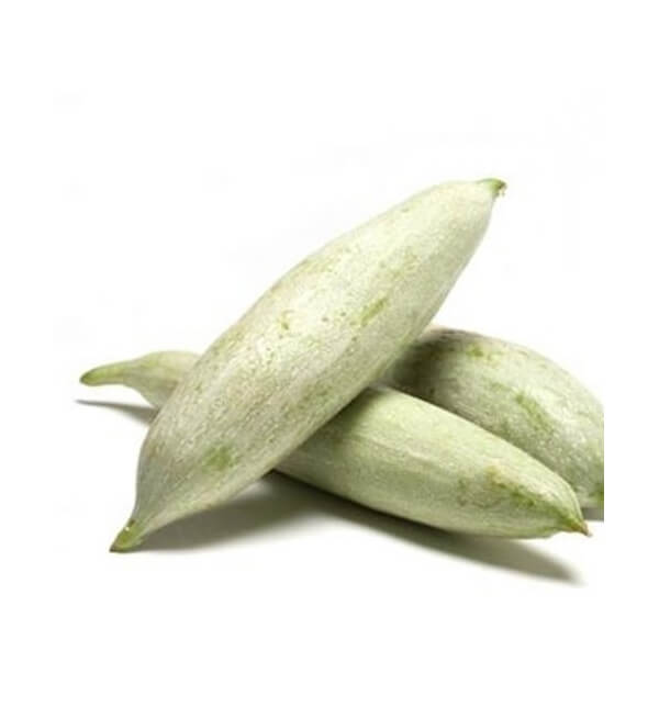 Snake Gourd